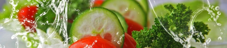 SODICRU – SOCIETE DE DISTRIBUTION DE CRUDITES