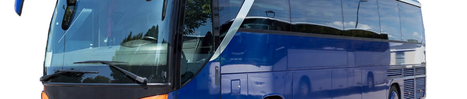 CEOBUS