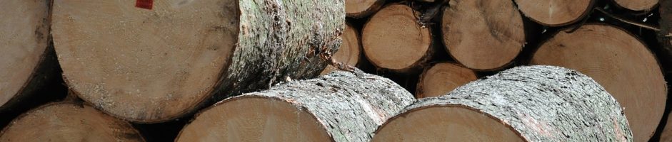 SOC EXPLOITATION DES ETS STEIDEL