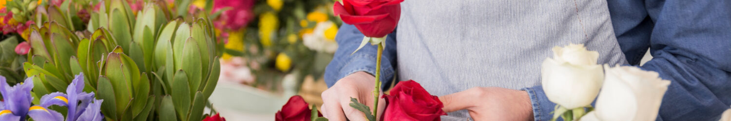 ALTHEA FLEURS