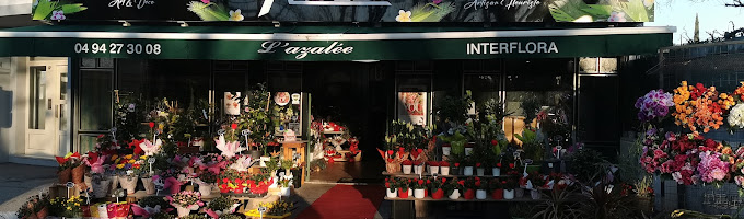 L’AZALEE FLEURS
