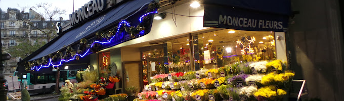 MONCEAU FLEURS