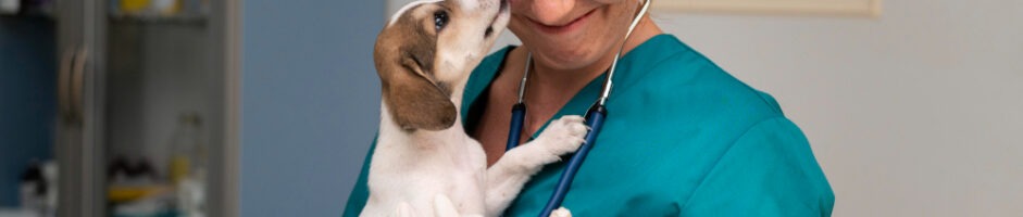 VETERINAIRE DU PHOENIX